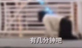 病态事件爆料视频,视频曝光背后的惊人真相