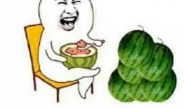 娱乐随拍吃瓜,随拍吃瓜，揭秘明星生活点滴