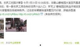 碧桂园最新事件爆料视频,揭秘背后真相与影响